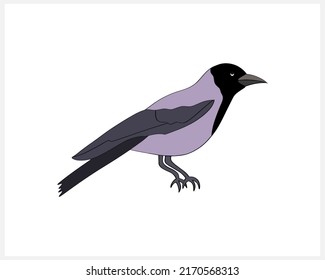 Doodle raven bird clip art isolated. Hand drawn animal.  Vector stock illustration. EPS 10