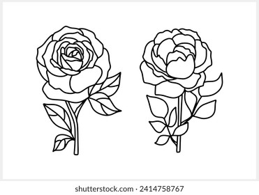 Icono de rosa de garra aislado Dibujo de la línea de dibujo de la mano Esbozo de la flor Ilustración del material del vector EPS 10
