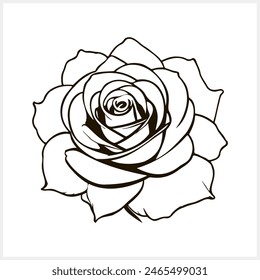 Doodle rose icon isolated Hand drawing line art Flower sketch Vector stock illustration EPS 10