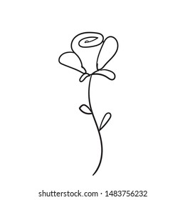 doodle rose illustration vector isolated on white