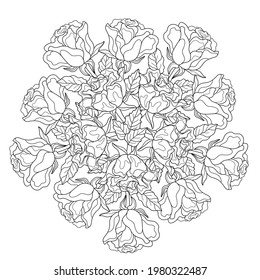 Rosas de doodle con hojas sobre un fondo blanco aislado. Mandala de flores para colorear páginas de libros.