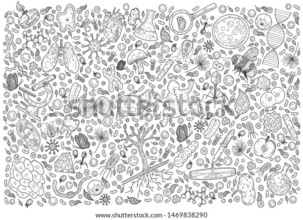 Doodle Science vector illustration . Biology\
and Biotechnology set. Hand Sketches on the theme of Zoology,\
Botany, Anatomy on white\
background.