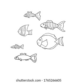 Doodle sea fish set. hand drawn of a kite isolated on a white background. Vector illustration
