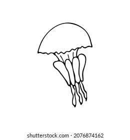 Doodle sea jellyfish. Inhabitant of the coral reef. Invertebrate animal of the ocean, seabed, oceanarium. Hand drawn thin line art vector illustration. Isolated simple element.