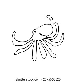 Doodle sea octopus. Inhabitant of the coral reef. Mollusk animal of the ocean, seabed, oceanarium. Hand drawn thin line art vector illustration. Isolated simple element.