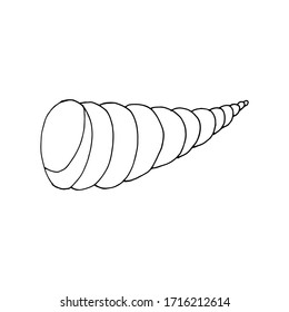 Doodle sea shell. hand drawn of a shell isolated on a white background. Vector illustration sticker, icon, design element