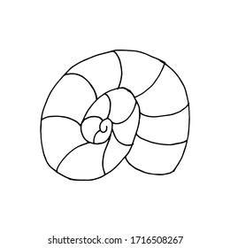 Doodle sea shell. hand drawn of a shell isolated on a white background. Vector illustration sticker, icon, design element