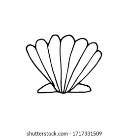 Doodle sea shell. hand drawn of a shell isolated on a white background. Vector illustration sticker, icon, design element
