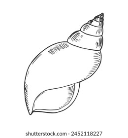 Doodle sea shell sketch ink