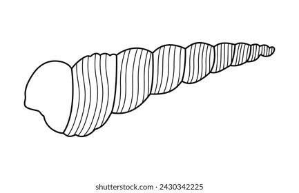 Doodle Sea Shells Line Art Vector Graphic