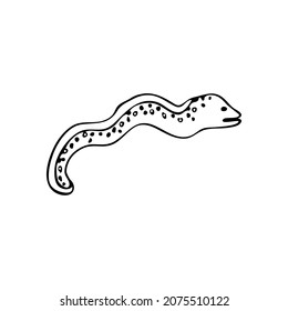 Doodle sea snake, moray eel fish. Inhabitant of the coral reef. Animal of the ocean, seabed, oceanarium. Hand drawn thin line art vector illustration. Isolated simple element.