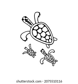 Doodle sea turtle. Inhabitant of the coral reef. Animal of the ocean, seabed, oceanarium, islands. Hand drawn thin line art vector illustration. Isolated simple element.