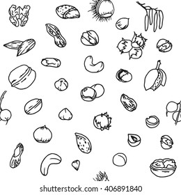 Doodle seamless pattern with different nuts: walnuts, pistachios, hazelnuts, cashew etc. Line art repeated food background.