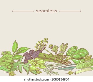 Doodle Nahtlose Muster mit Gartenkräutern, Gewürzen und Grünpflanzen. Handgezeichneter Rahmen von Spinat, Spargel, Taube mit Sellerie oder Minze. Farbige Grenze, Ätzen von Kräutergrün. Lineare Vektorgrafik