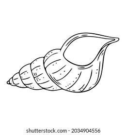 Doodle seashell, hand-drawn sea symbol. Fossil conch painted by ink, pen. Line, minimalism. Simple sketchy icon. Isolated. Vector illustration.