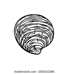 Doodle seashell, hand-drawn sea symbol. Fossil conch painted by ink, pen. Line, minimalism. Simple sketchy icon. Isolated. Vector illustration.