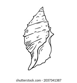 Doodle seashell, hand-drawn sea symbol. Fossil conch painted by ink, pen. Line, minimalism. Simple sketchy icon. Isolated. Vector illustration.