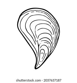 Doodle seashell, hand-drawn sea symbol. Fossil conch painted by ink, pen. Line, minimalism. Simple sketchy icon. Isolated. Vector illustration.