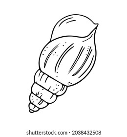 Capilla de doodle, símbolo del mar dibujado a mano. Coma fósil pintada con tinta, pluma. Línea, minimalismo. Icono simple. Aislado. Ilustración vectorial.