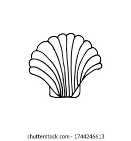 Icono de la concha de Doodle. Icono de la concha dibujada a mano. Ilustración de garrapatas
