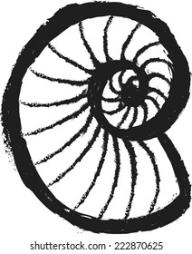 doodle seashell vector