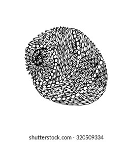Doodle seashell in vector. Hand drawn