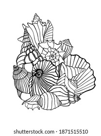 Doodle with seashells. Contours with sea clams. Line art with shellfish, nautical theme. Hand drawn print with sea life. Marine graphic illustration for coloring book.