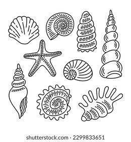 Doodle Seashells Set. Hand drawn black and white seashells line art isolated vector illustration. Outline sea life items