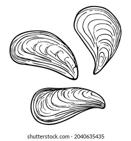 Conchas de caramelos, símbolos del mar dibujados a mano. Coma fósil pintada con tinta, pluma. Línea, minimalismo. Iconos sencillos y poco precisos. Aislado. Ilustración vectorial.