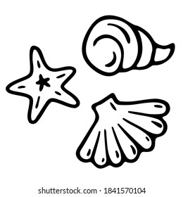 Doodle Muscheln und Seesterne. Seeblick. Schwarze Linien einzeln auf weißem Hintergrund. Vektorgrafik Strandsymbol. Handgezeichnete Illustration für Karten, Plakate, Aufkleber, Textilien und professionelles Design.