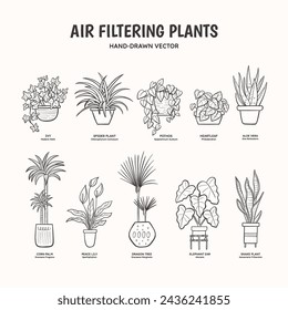 Doodle set of air-purifying plants for indoor spaces. Plants drawing that clean the air of harmful substances. English and scientific names below the plant drawing. Lineart vector illustration.