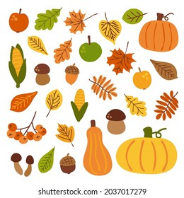 Doodle set with autumn elements. Pumpkins, apples, leaves, mushrooms, corn. Vector design elements for stickers, posters, postcards.