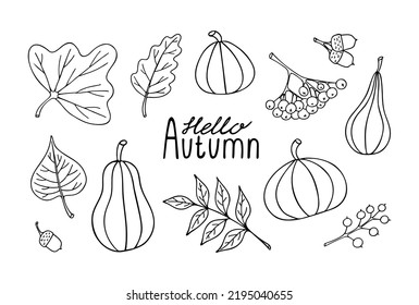 Doodle set of autumn harvest with quote Hello Autumn. Vector hand drawn illustration fall simple elements leaves, berries, vegetables, acorns and inscriptions.