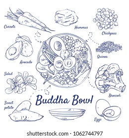 Doodle set of Buddha Bowl - Carrots, Hummus, Chickpeas, Quinoa, Broccoli, Eggs, Sweet Potato, Salad, Avocado, hand-drawn. Vector sketch illustration isolated over white background.