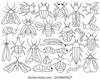 Doodle set with butterflies, beetles and bugs, warms and caterpillars insects outline coloring design vector illustration. Education and knowledge collection with cute drawings for teaching children