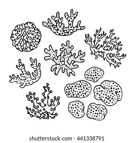 Doodle set of corals. Isolated on white background. Hand drawn vector illustration.