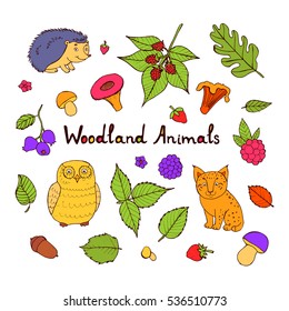 Doodle set of cute animals with lynx, hedgehog and owl. Cute forest animal set, doodle sketch collection with leaves, strawberries, mushrooms and walnuts