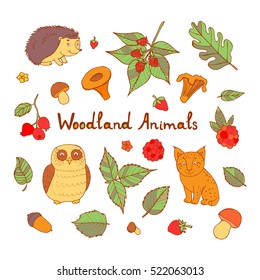 Doodle set of cute animals with squirrel, fox, lynx, raccoon, hedgehog, bear, deer, owl and rabbit. Cute forest animal set, doodle sketch collection with leaves, strawberries, mushrooms and walnuts