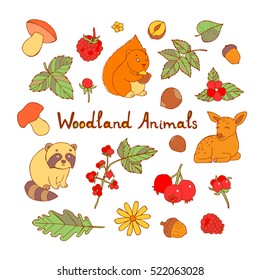 Doodle set of cute animals with squirrel, fox, lynx, raccoon, hedgehog, bear, deer, owl and rabbit. Cute forest animal set, doodle sketch collection with leaves, strawberries, mushrooms and walnuts