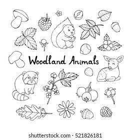 Doodle set of cute animals with vector doodle floral set 