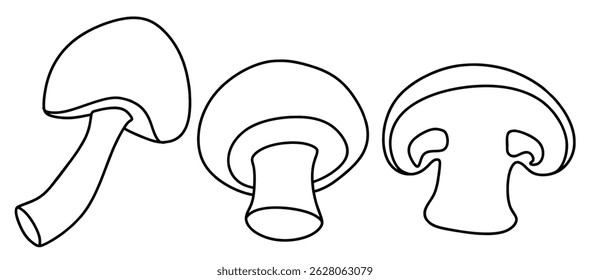 Doodle conjunto de lindo Vector de champiñón de champiñón dibujado a mano.