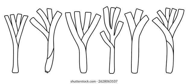 Doodle set of cute Hand drawn outline green onion vector.