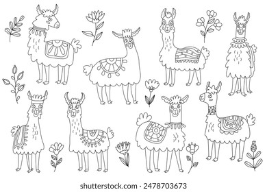 Doodle conjunto con lindas llamas o alpacas y flores. Ilustración dibujada a mano de Vector, contorno negro aislado. Ideal para colorear.	