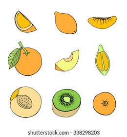 Doodle set of different fruits isolated on white background