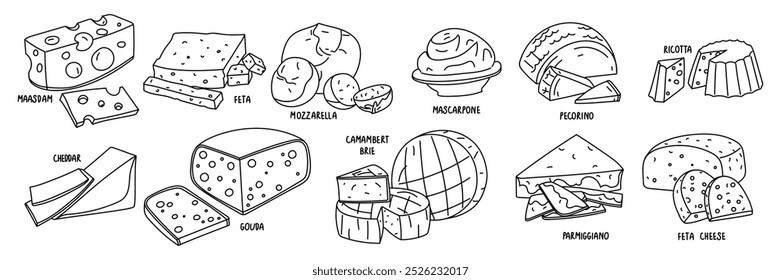 Doodle es un conjunto de diferentes tipos de queso en un grupo. Ilustraciones grupales de quesos en diferentes posiciones, rebanadas, piezas individuales, colección de productos lácteos. Quesos Populares con nombres