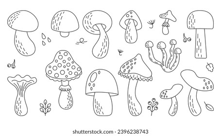 Doodle set of different types of mushrooms. White mushroom, chanterelles, agarics, white mushroom, honeydew. Collection of food ingredients