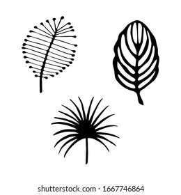 Doodle set drawing sprig with leaves, plant design element. A casual sketch by hand in black ink. Vector illustration isolated on white background.