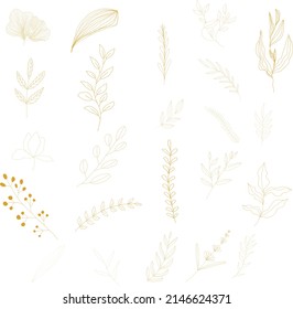 Doodle set of flowers leaves and different plants abstract isolated elements for decoration.
