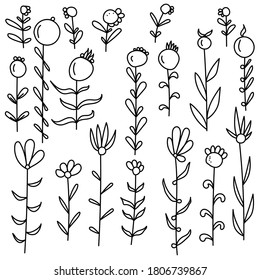 Conjunto de dibujos y modelos de cartón de flores con hojas y bayas redondeadas, para crear marcos, invitaciones de diseño o álbumes, ilustración de contorno vectorial para el diseño y la creatividad
