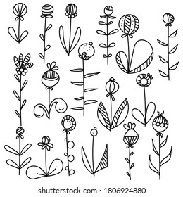Doodle set of flowers with leaves and rounded berries and striped elements to create frames, design invitations or scrapbooks, Vector illustration for design and creativity